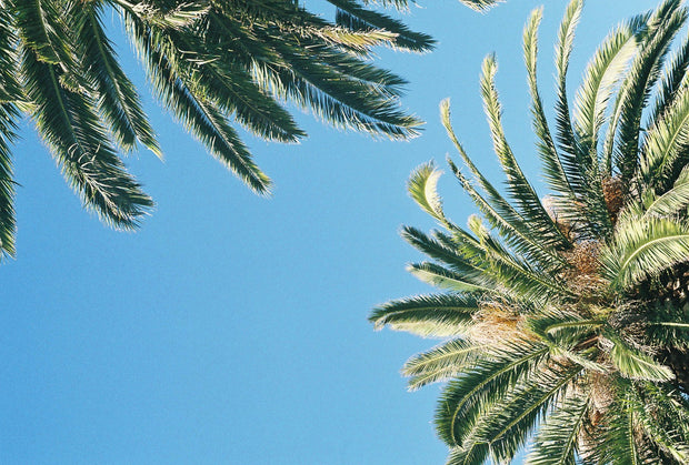 <h3>POINT & SHOOT FILM</h3>