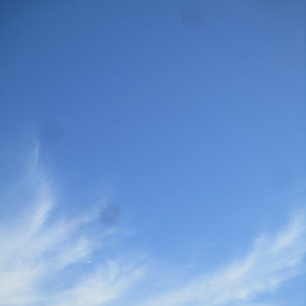 Canon IXUS 210 IS